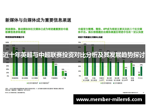 近十年英超与中超联赛投资对比分析及其发展趋势探讨